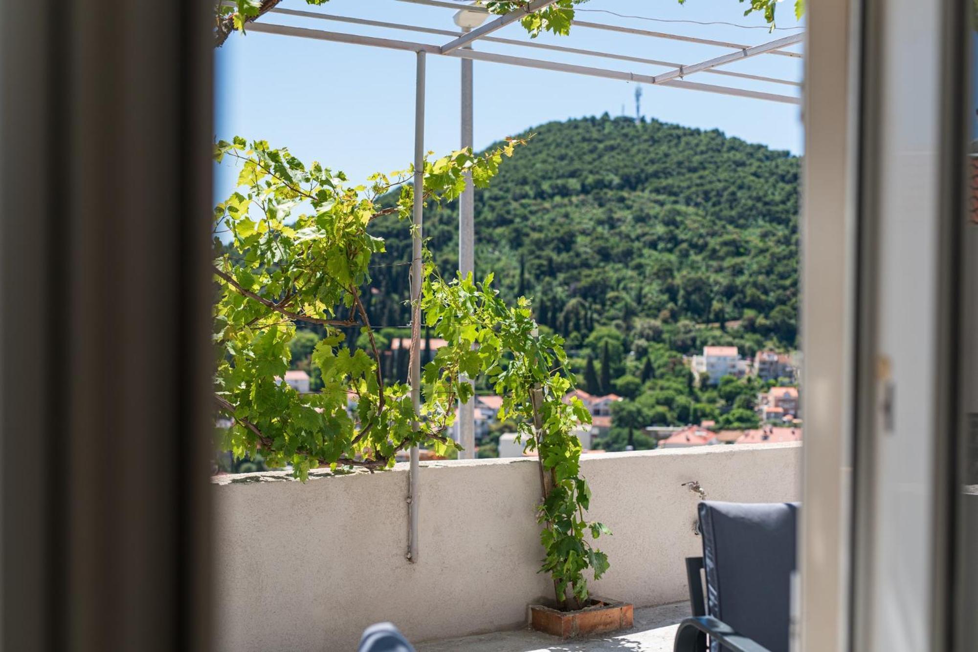 דוברובניק Guesthouse Niko מראה חיצוני תמונה